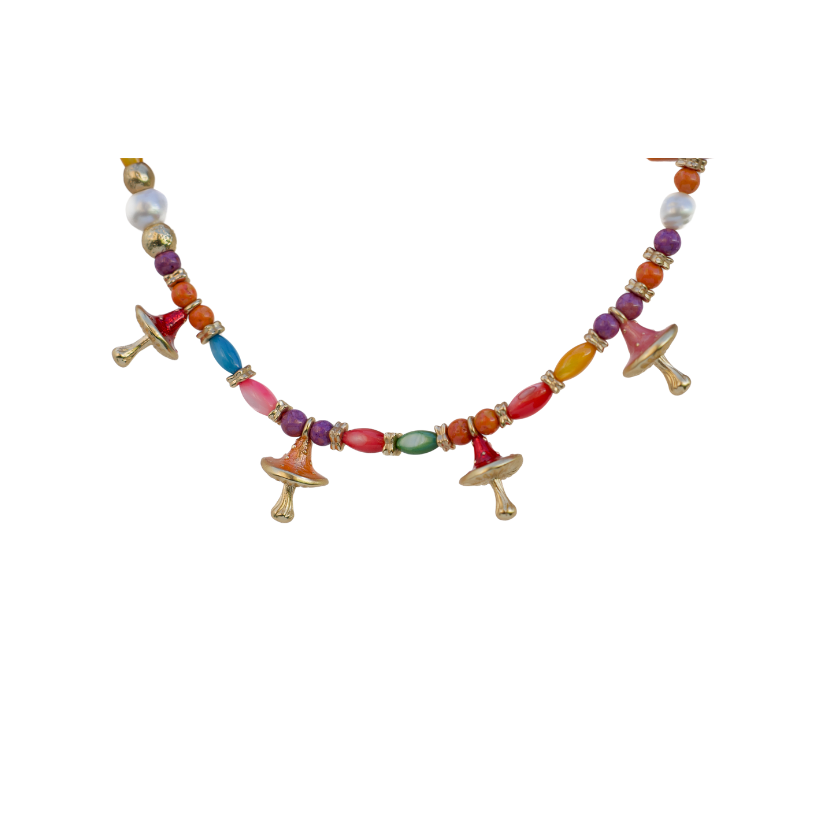 Fungui Set